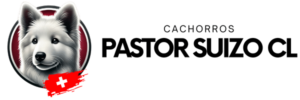 Banner cachorros pastor suizo chile nuevo